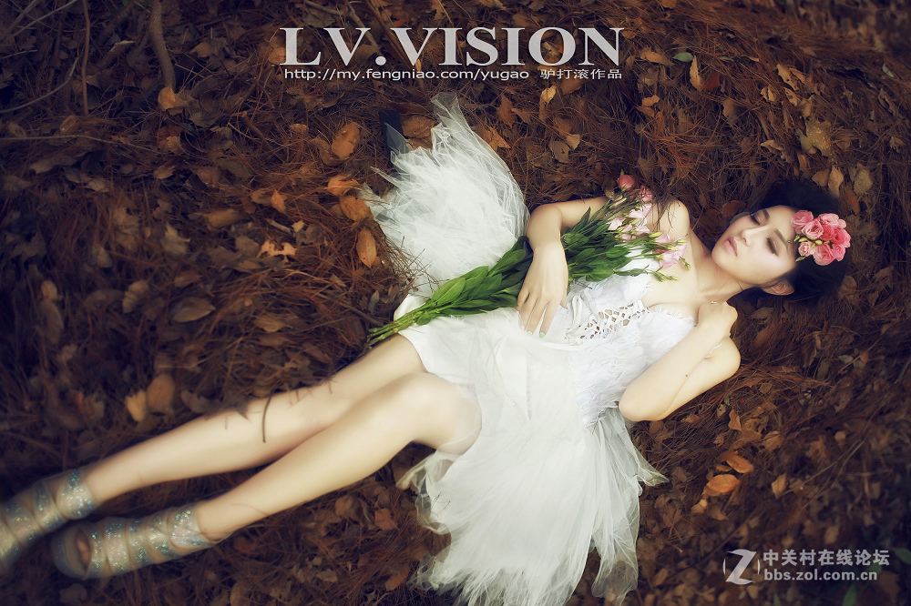 《LV 作品》..........安徒生的森林