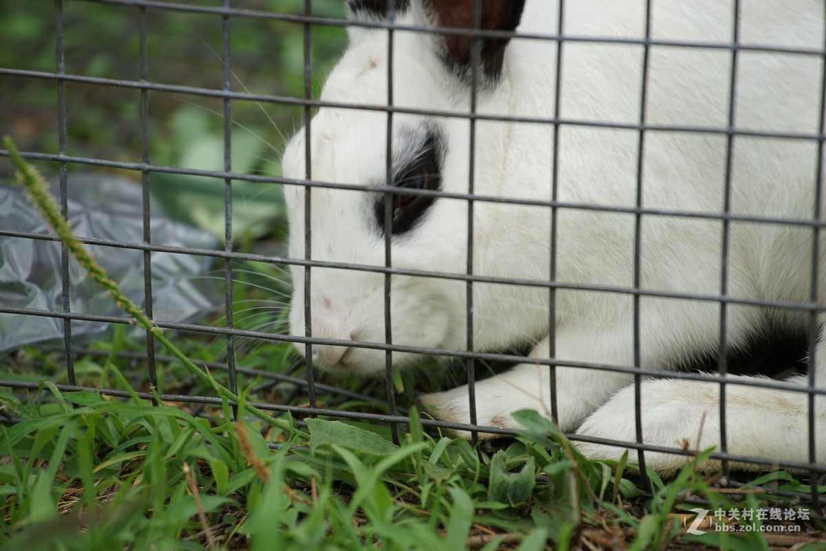 仙班位列广寒宫,何苦贪俗入牢笼