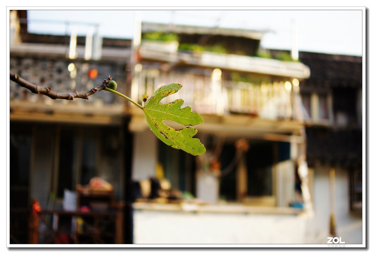 窝家观景--行摄角里