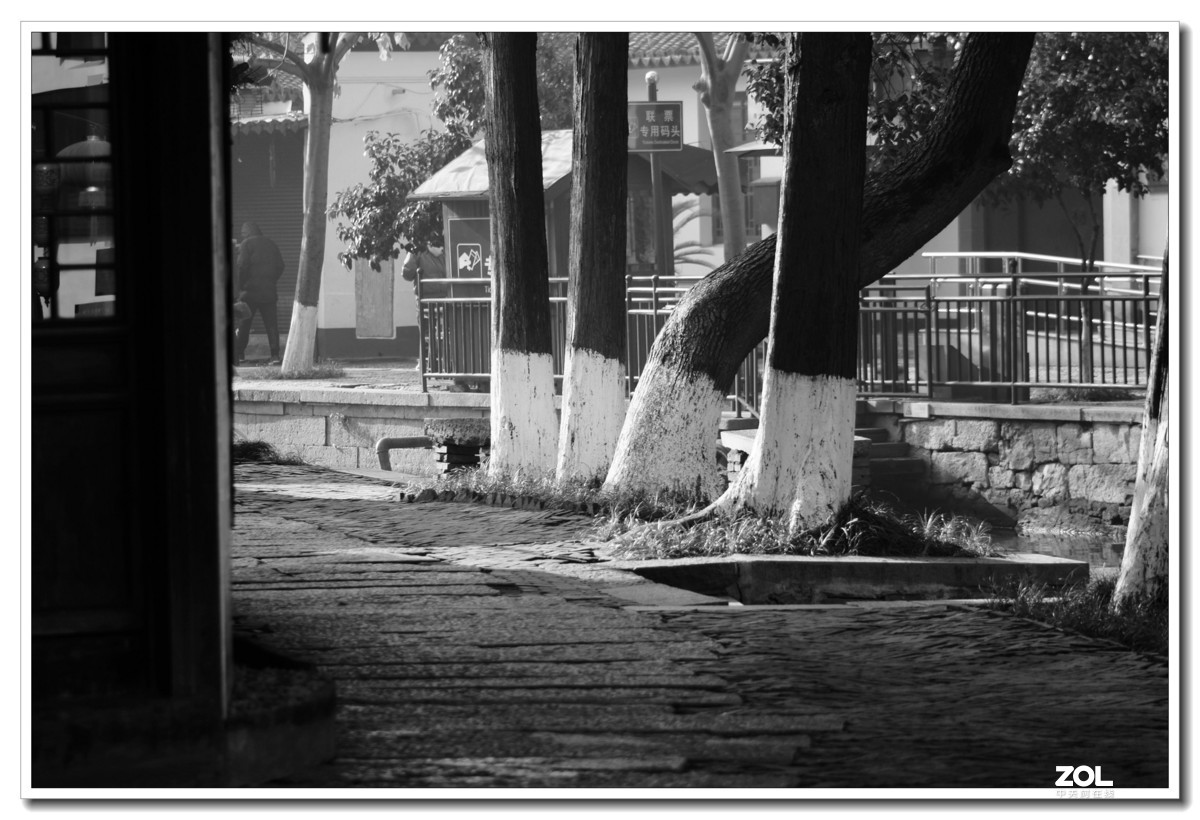 窝家观景--行摄角里