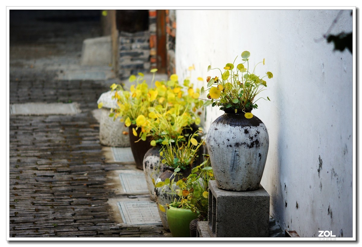 窝家观景--行摄角里