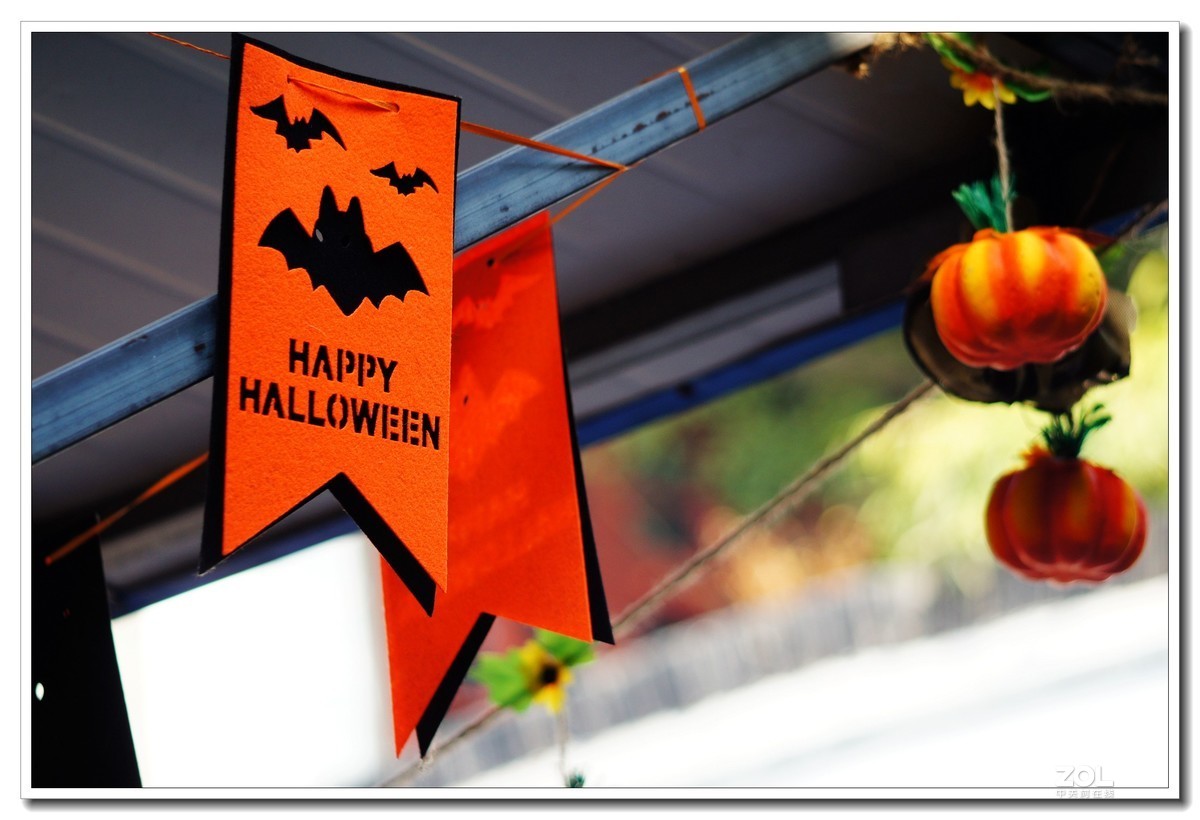 窝家观景--行摄角里