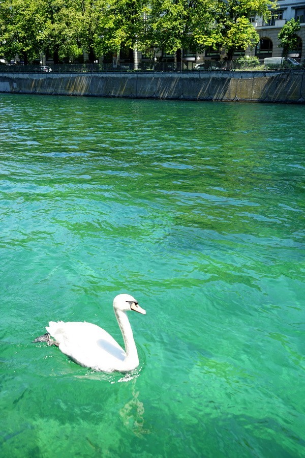 2019-06-02 瑞士旅行记录：阳光下的利马特河（zurich）