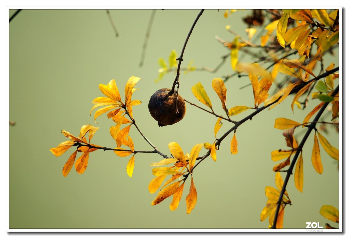 窝家观景--行摄角里