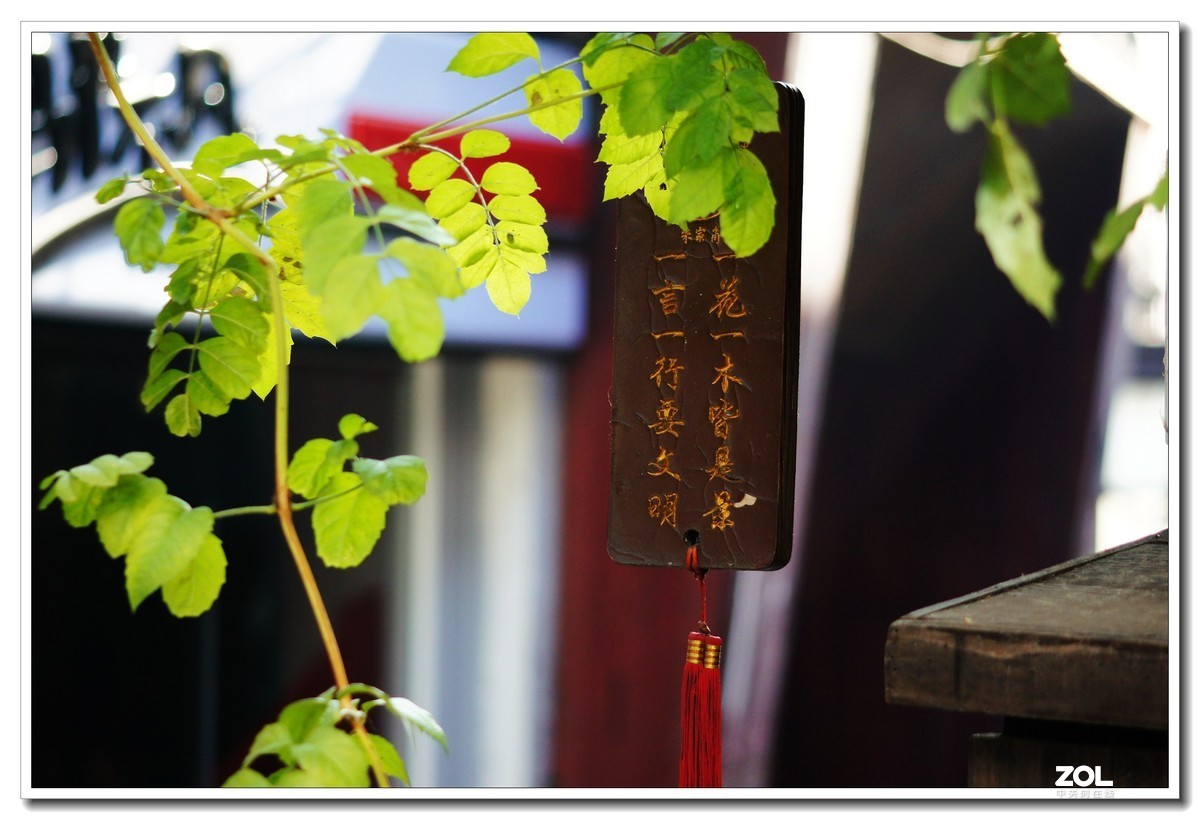 窝家观景--行摄角里