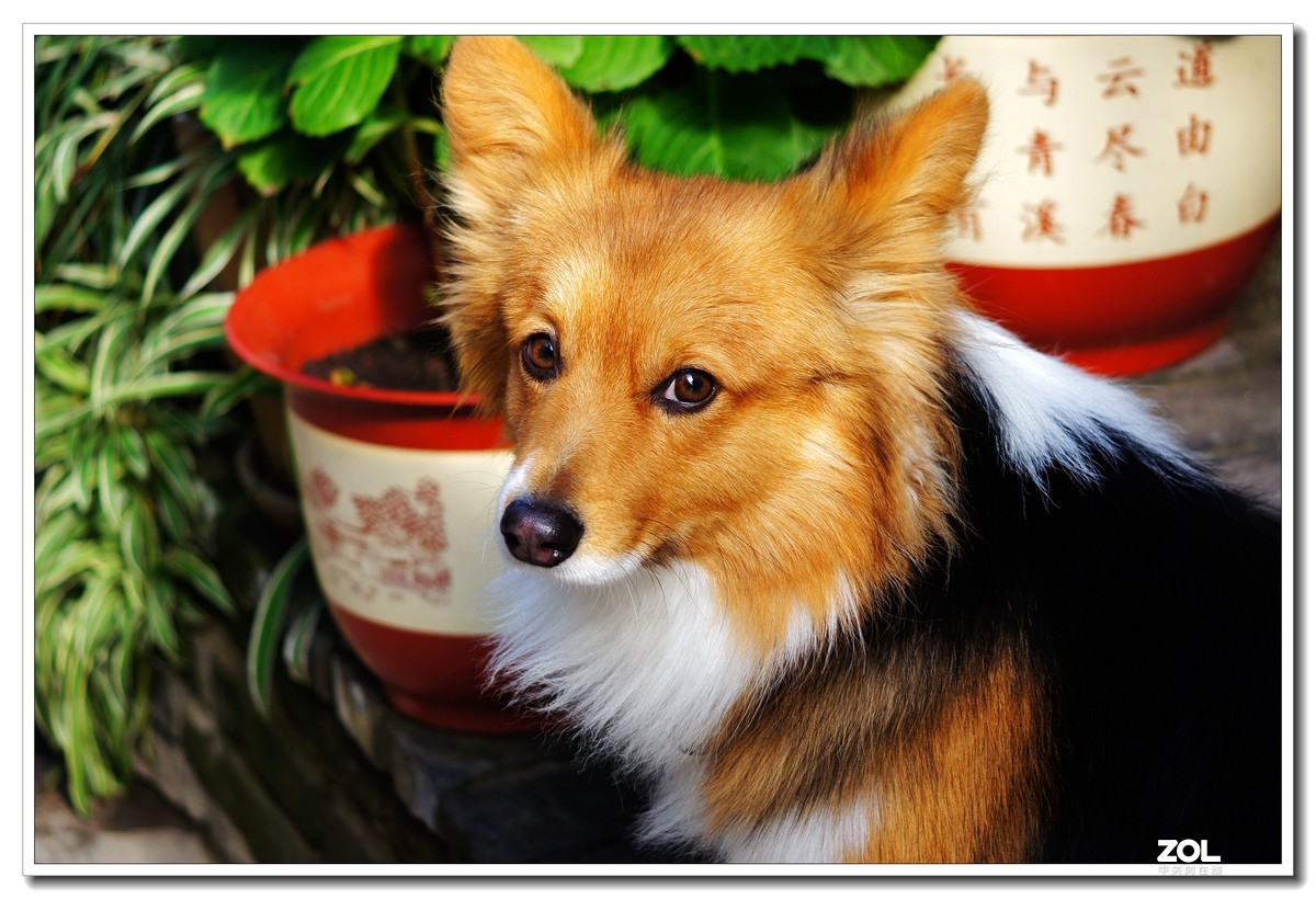 窝家观景--行摄角里