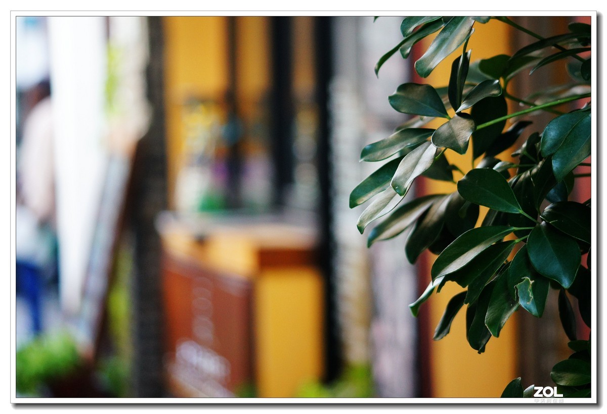 窝家观景--行摄角里