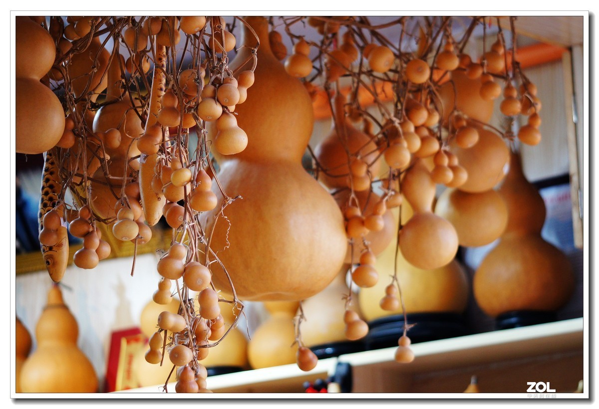 窝家观景--行摄角里