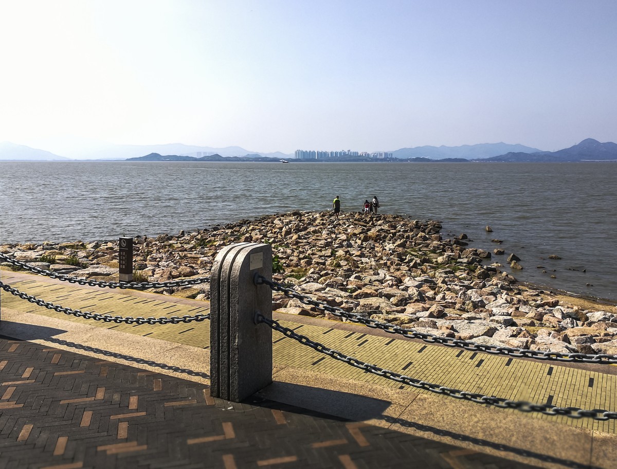 深圳湾红树林公园~掠影