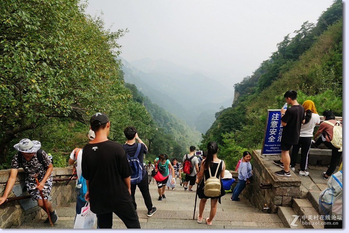 泰山旅游1
