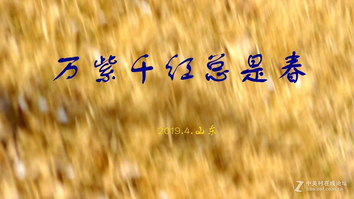 万紫千红总是春 （2）