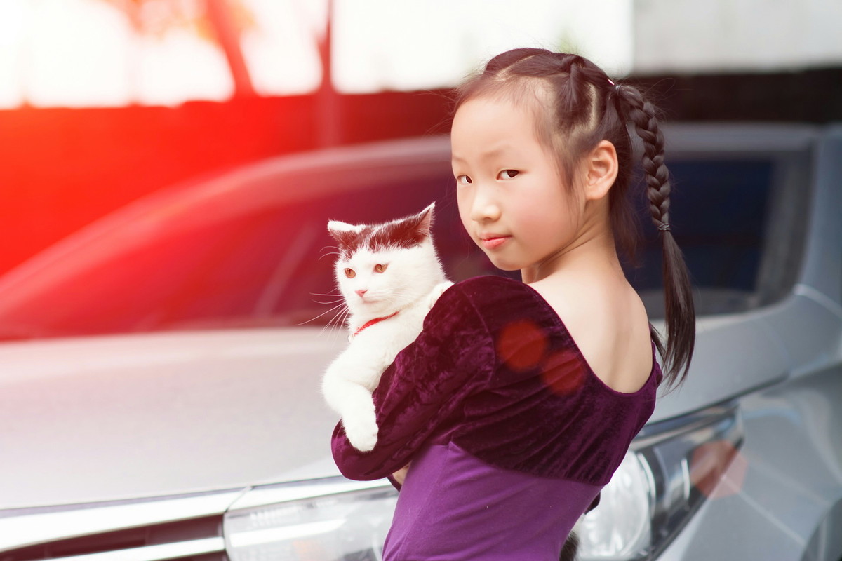 抚摸猫小猫的孩子 免版税库存图片 - 图片: 37615916