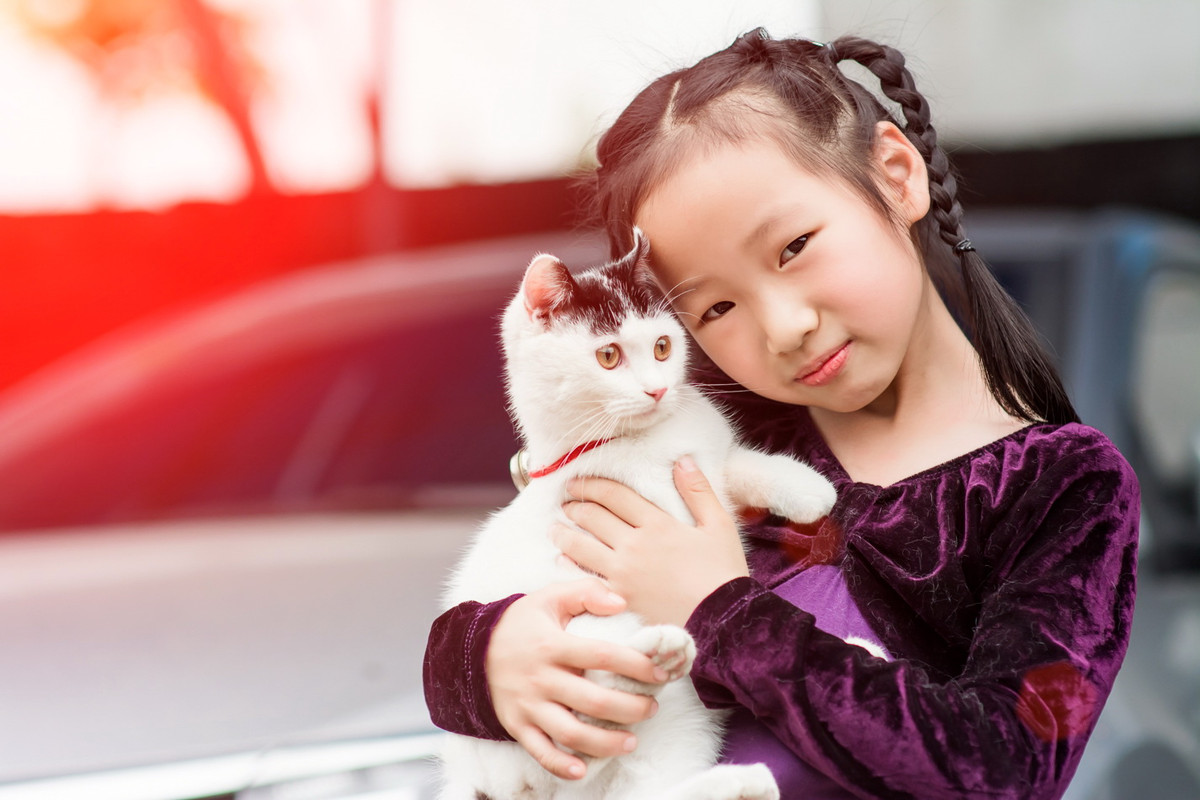 小女孩抱着毛茸茸的猫咪 - 全部作品 - 素材集市