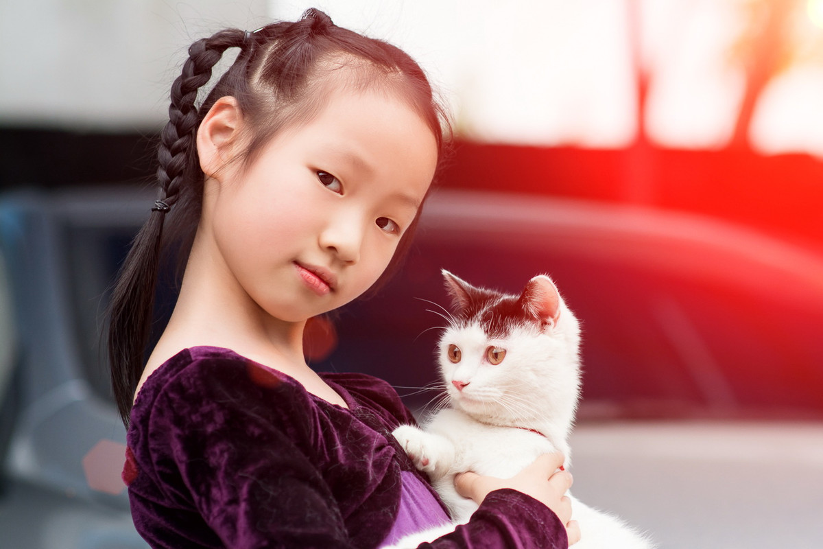 女孩抱猫写真真实光影与色彩的完美结合高清摄影下载-编号32378153--我图网