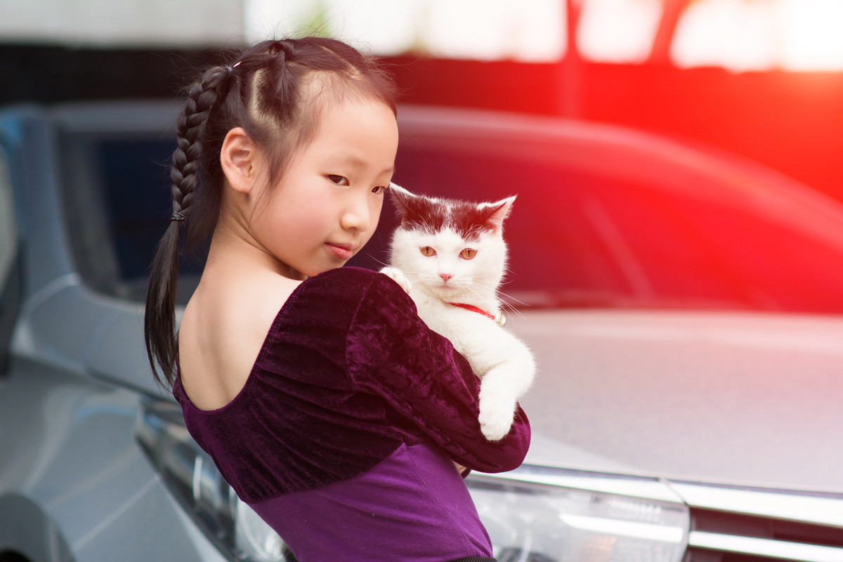 抱着猫的小女孩在家里的室内小孩玩家养宠物 库存照片. 图片 包括有 现有量, 毛皮, 户内, 家庭, 暂挂 - 223719650