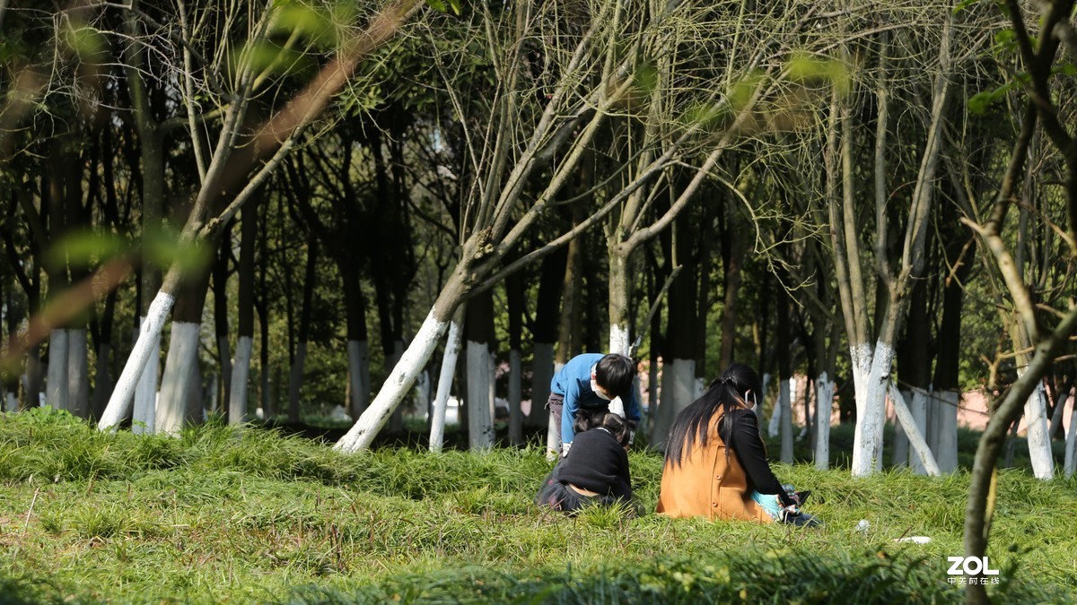 碧绿的春天