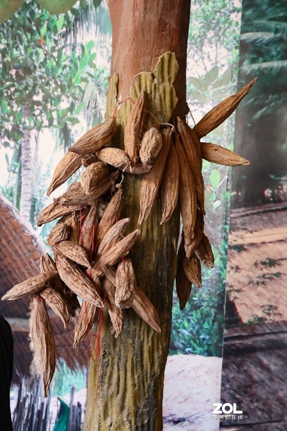 海南黎族人纹身