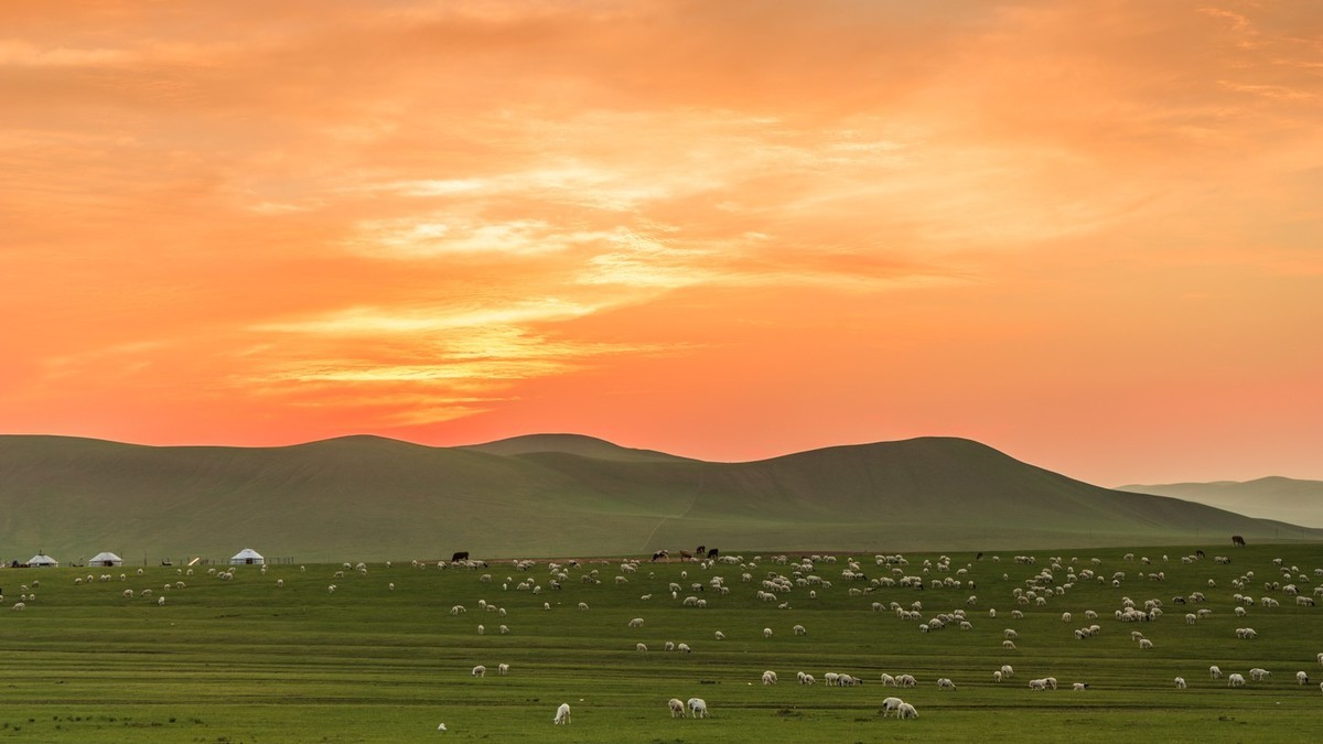 夏的草原幸福牧场的落日