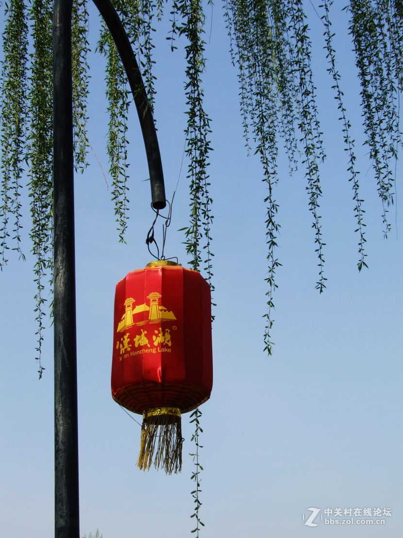 春到汉城湖