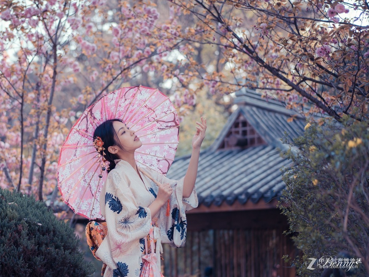 复兴岛公园最后的晚樱