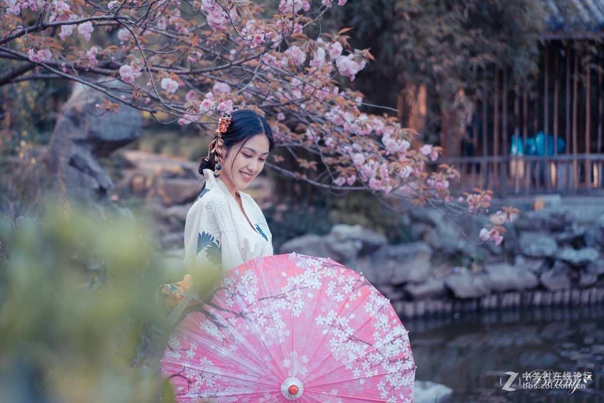 复兴岛公园最后的晚樱