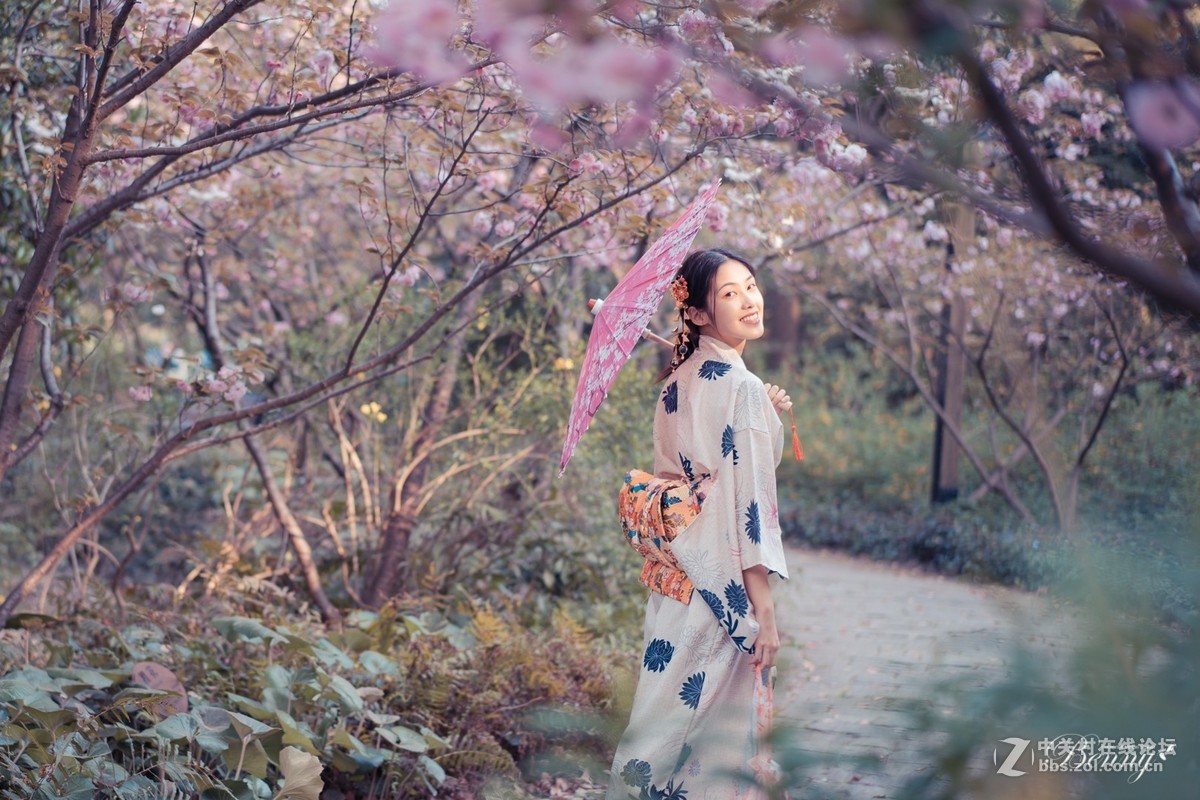 复兴岛公园最后的晚樱