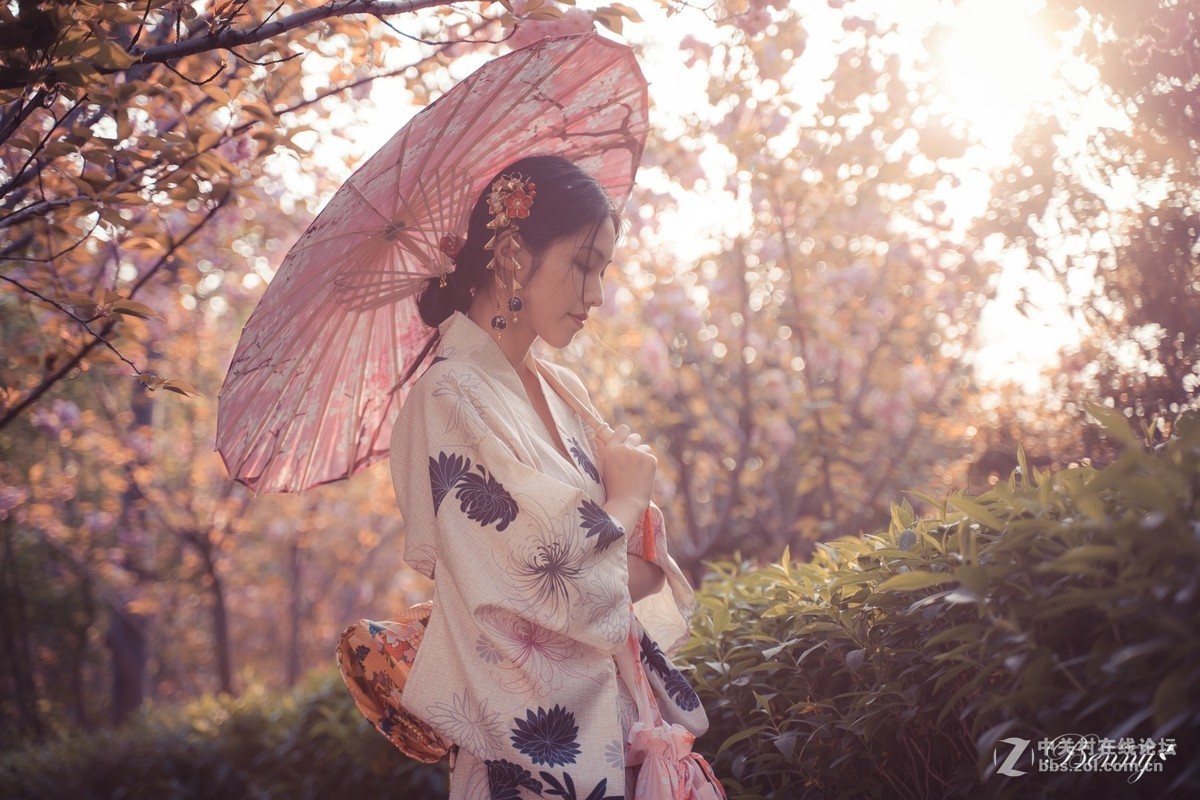 复兴岛公园最后的晚樱