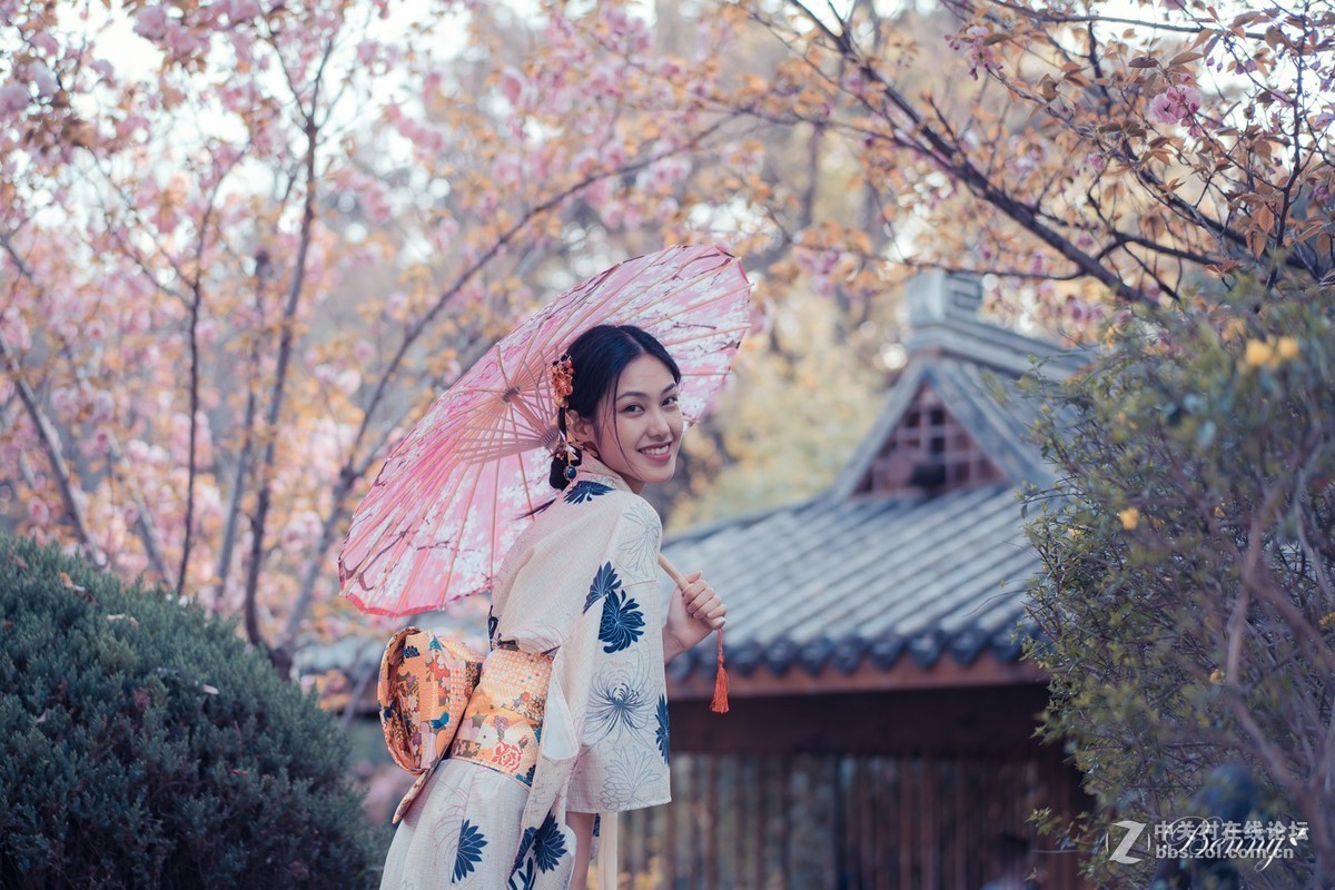 复兴岛公园最后的晚樱