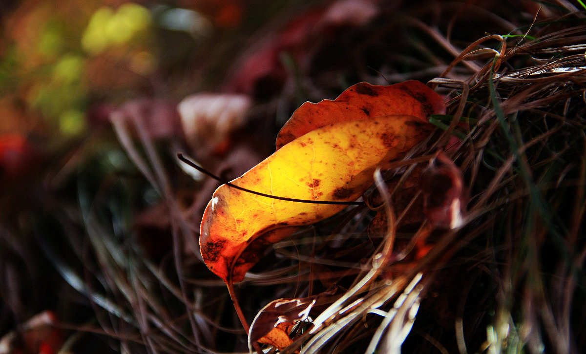 神灵寨23-中关村在线摄影论坛