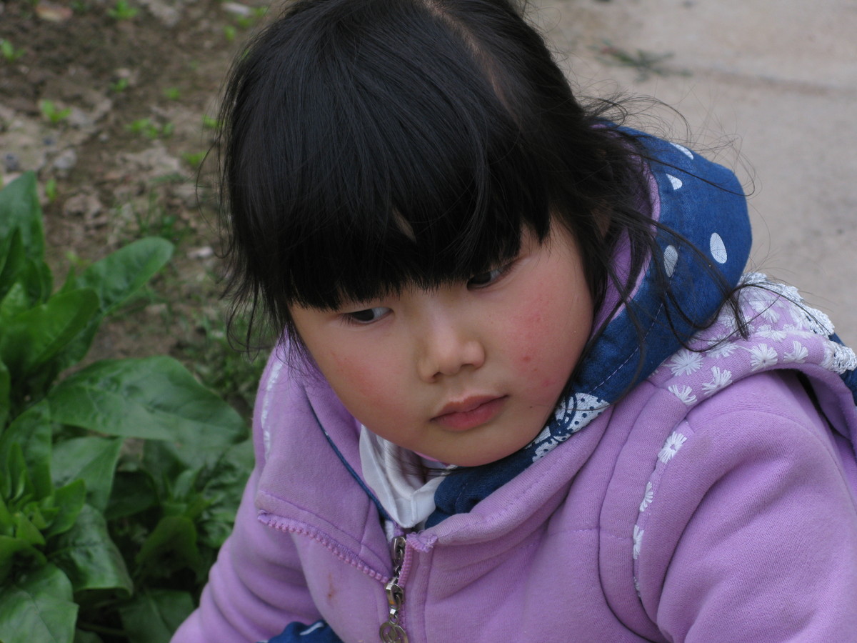 一直使用的A650IS发些照片（蒲公英、昆虫、儿童、月宫）到贵星空(中国)，请指导（16P）