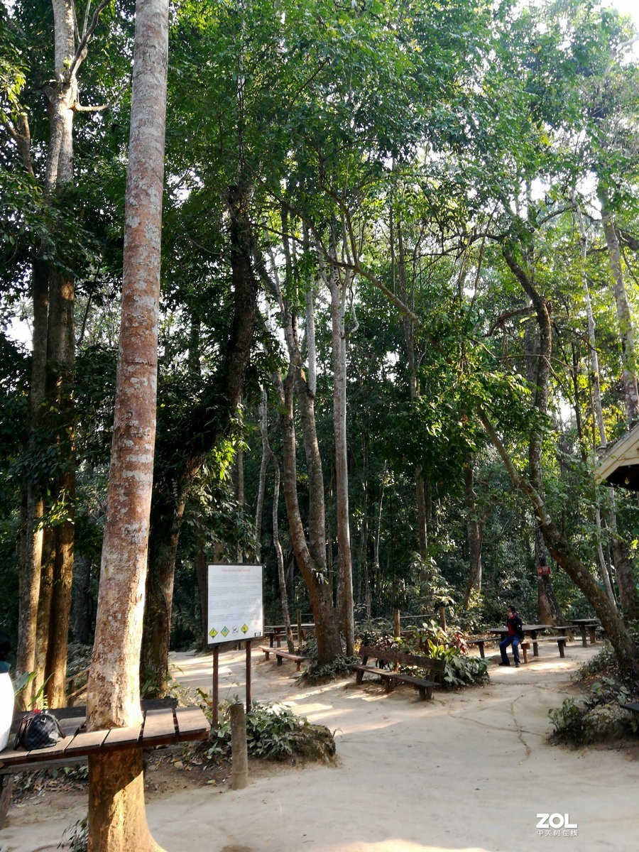 2020春节 长沙到老挝（42）亚洲月熊保护中心