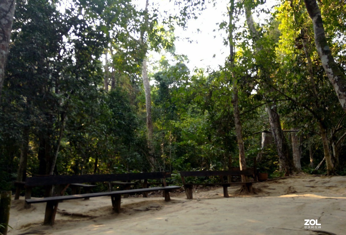 2020春节 长沙到老挝（42）亚洲月熊保护中心