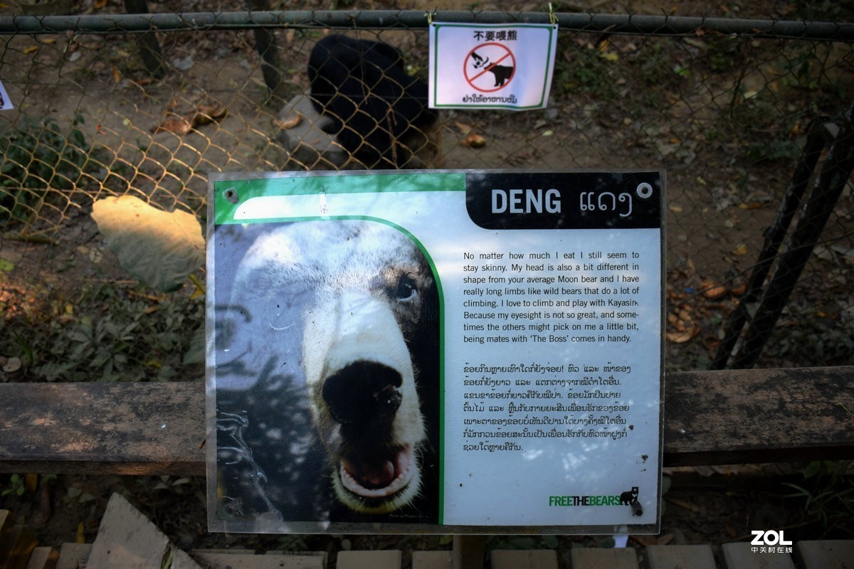 2020春节 长沙到老挝（42）亚洲月熊保护中心