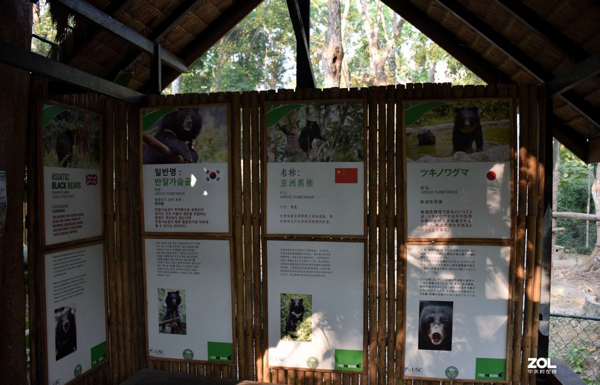 2020春节 长沙到老挝（42）亚洲月熊保护中心