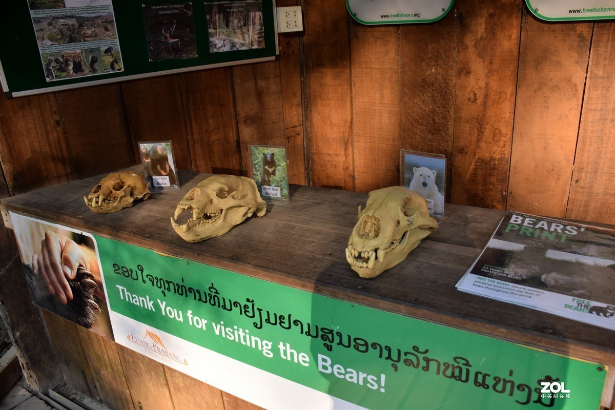 2020春节 长沙到老挝（42）亚洲月熊保护中心