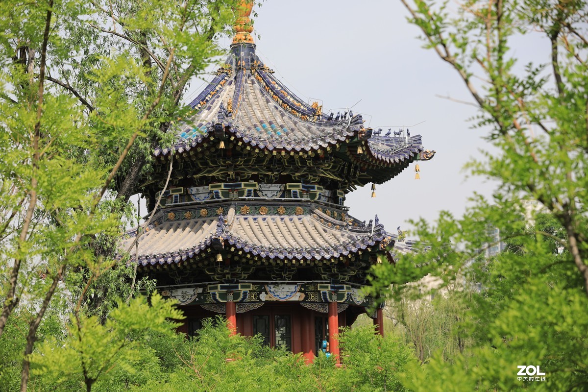 迎泽公园散步随拍后湖的亭台楼阁