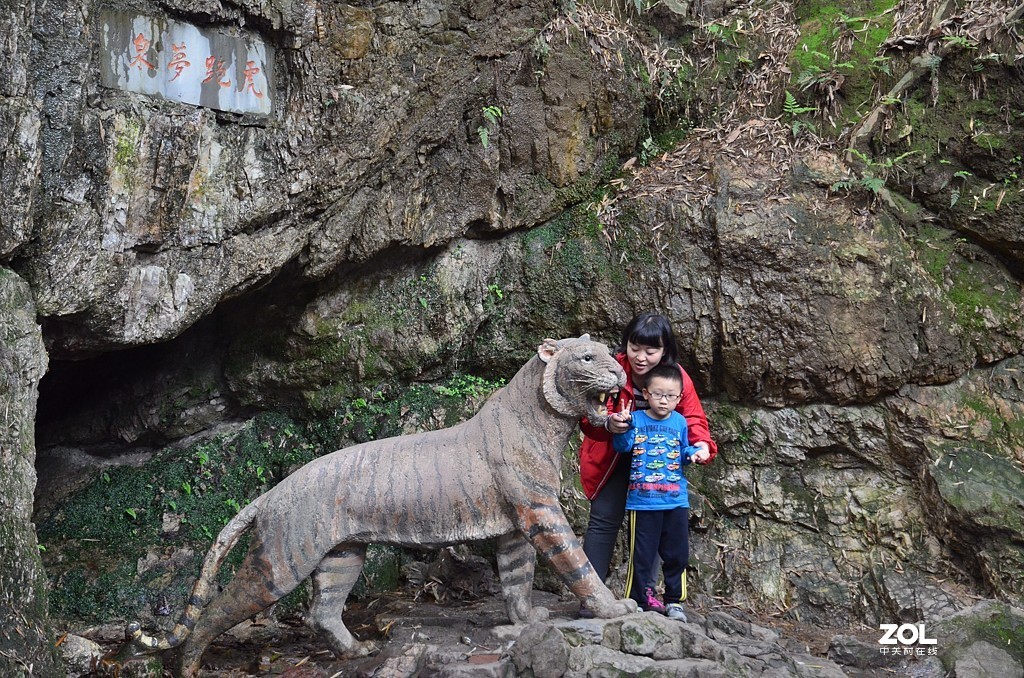 杭州虎跑泉（续集）