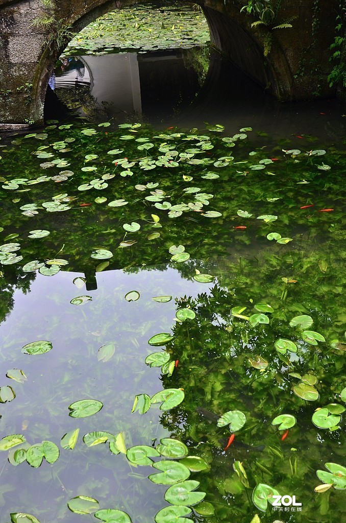 杭州虎跑泉（续集）