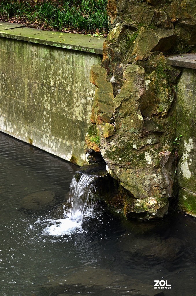 杭州虎跑泉（续集）