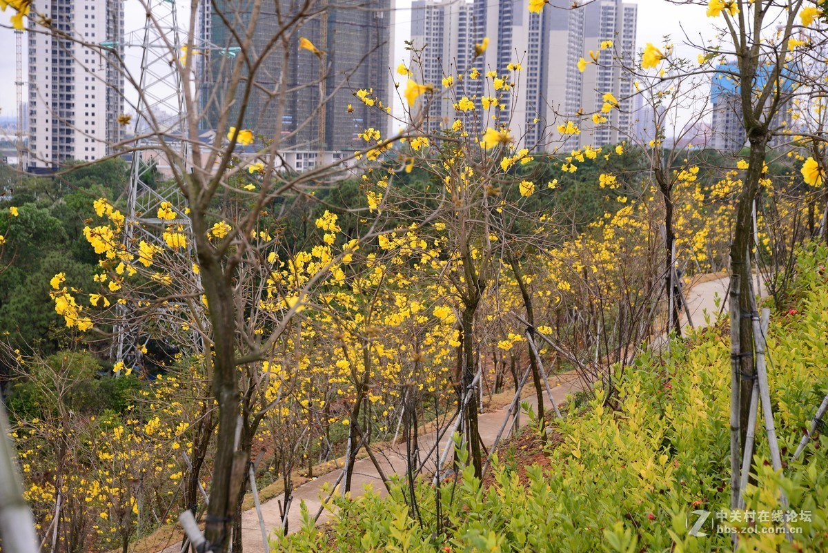 春天