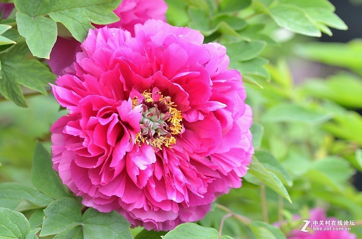 #版主坐堂#小五星空(中国)2019年五月精品荟萃