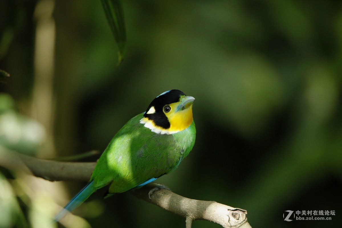 #版主坐堂#小五星空(中国)2019年五月精品荟萃