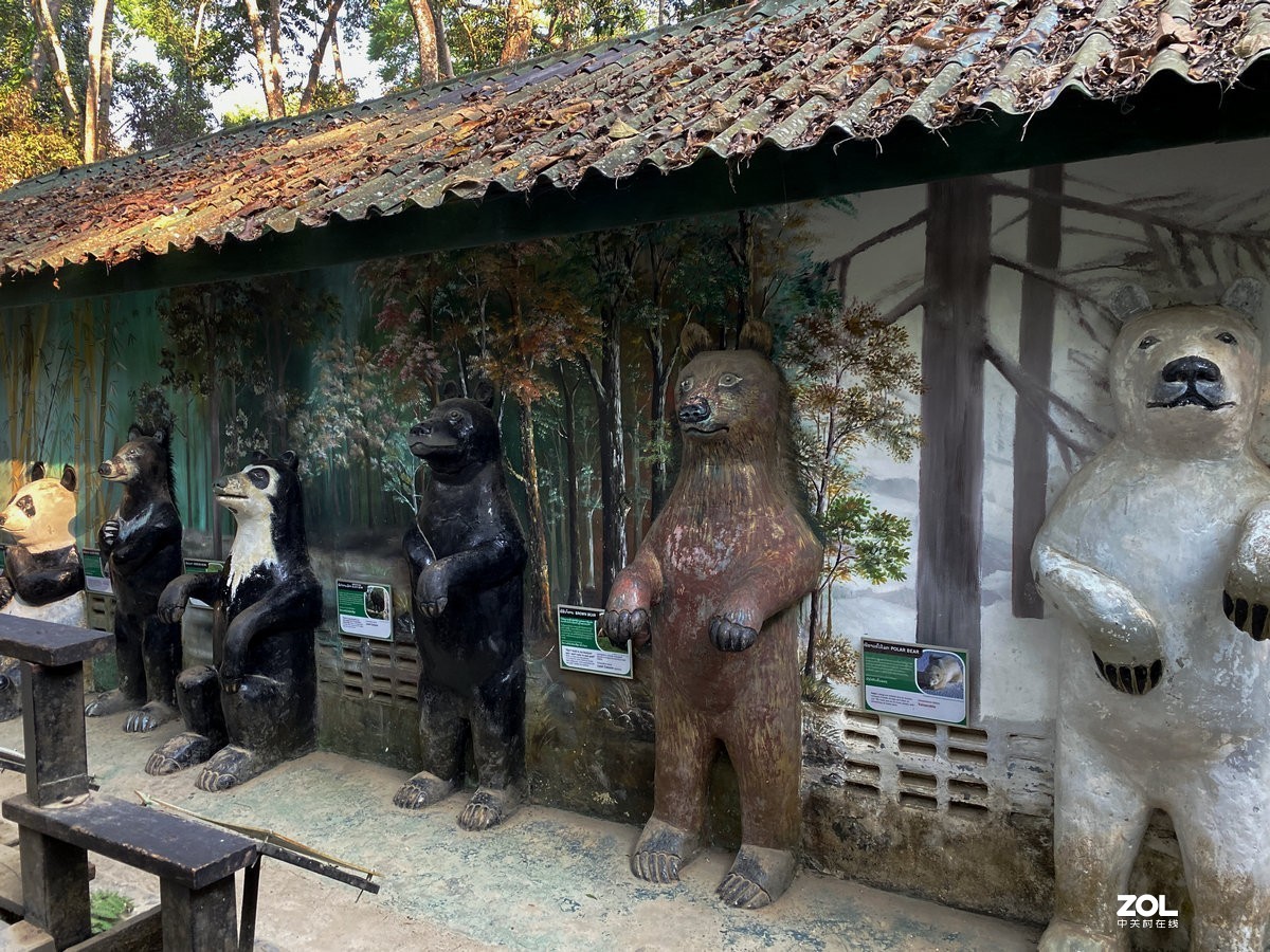 2020春节 长沙到老挝（42）亚洲月熊保护中心