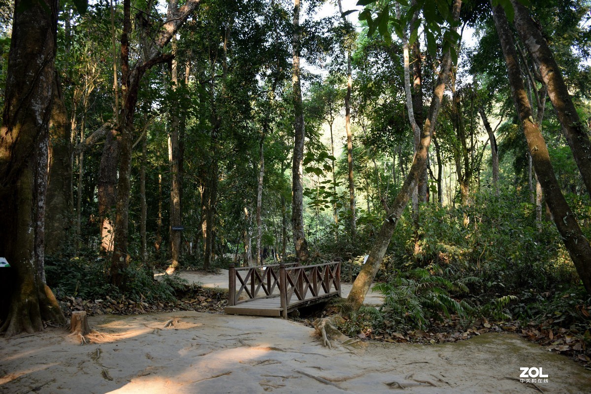 2020春节 长沙到老挝（42）亚洲月熊保护中心