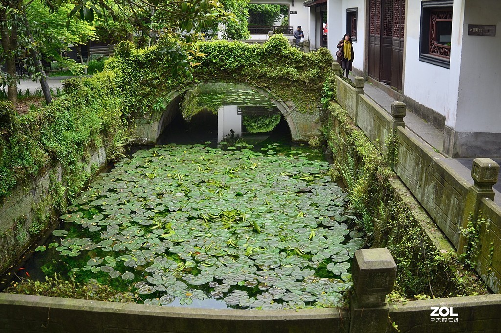 杭州虎跑泉（续集）