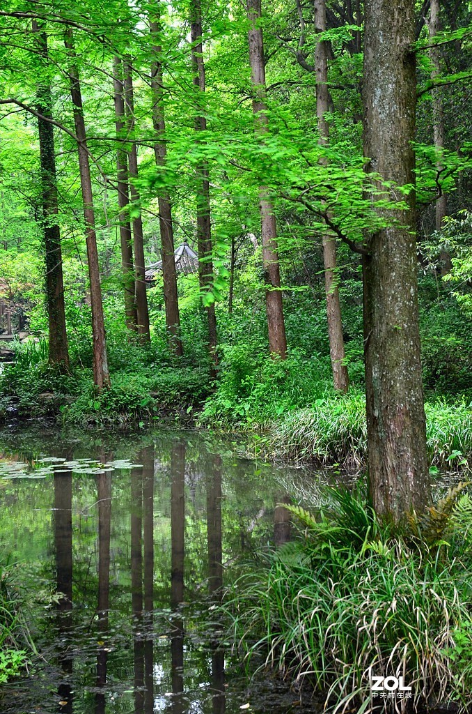 杭州虎跑泉（续集）