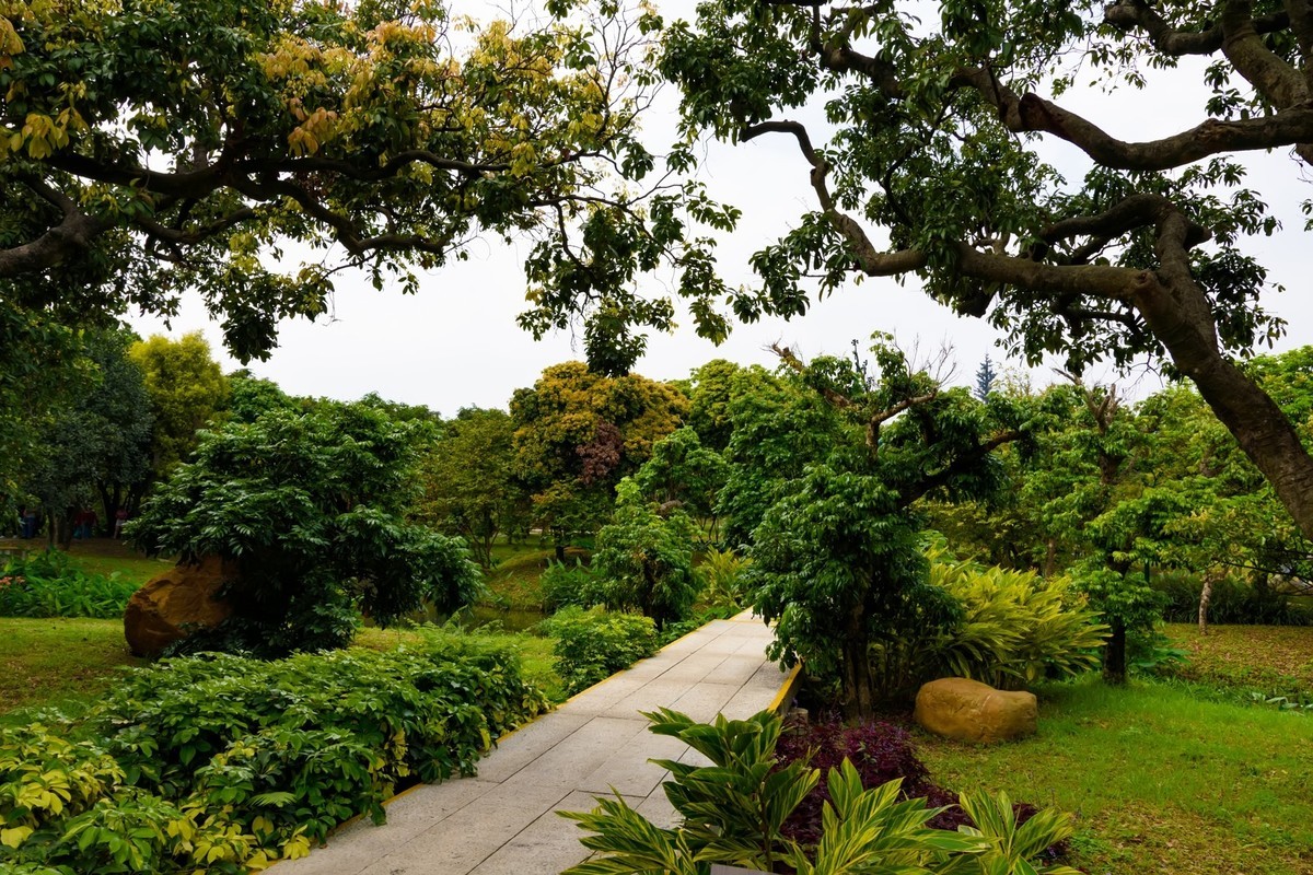 廣州海珠溼地公園一