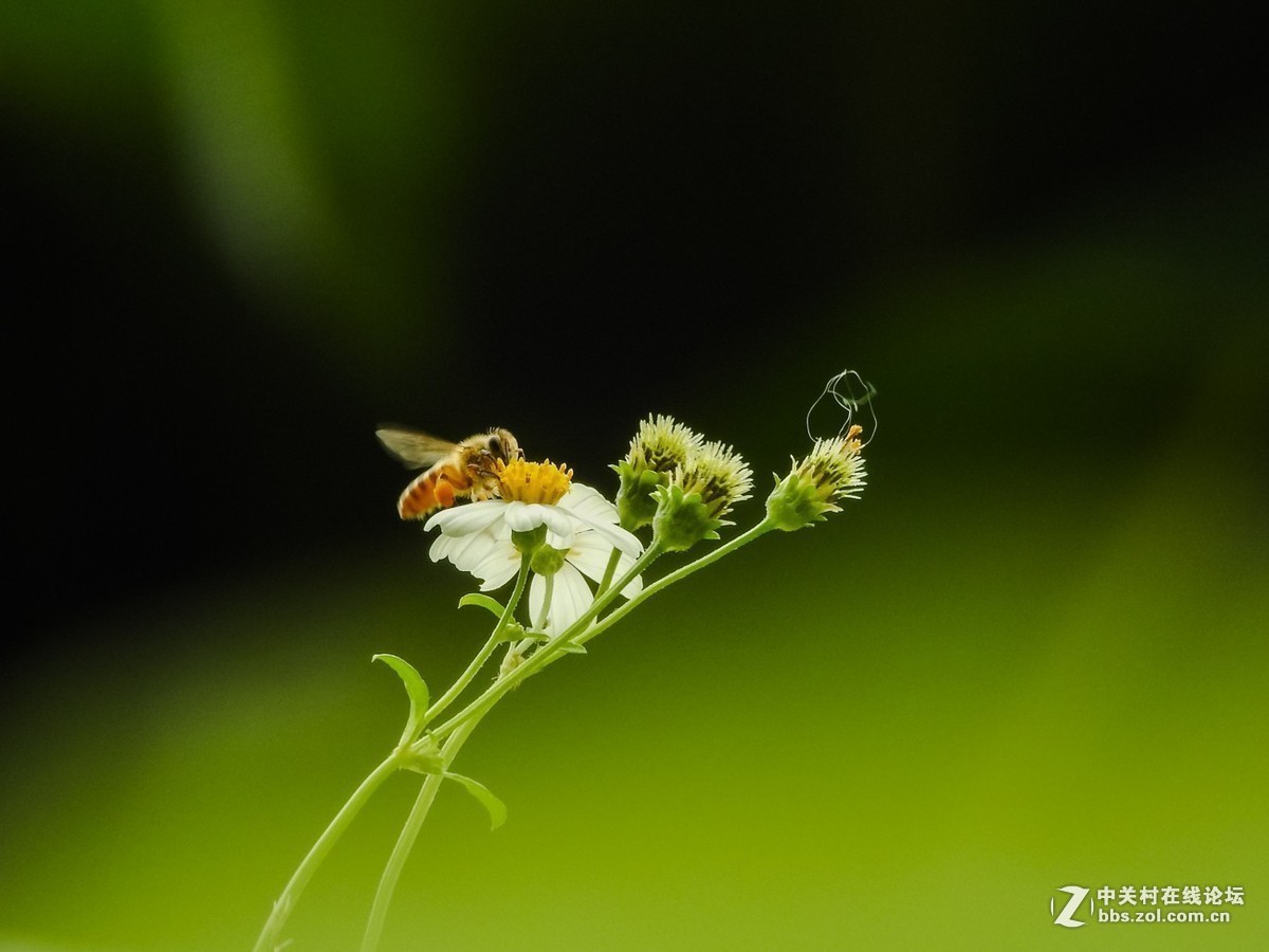 #版主坐堂#小五星空(中国)2019年五月精品荟萃