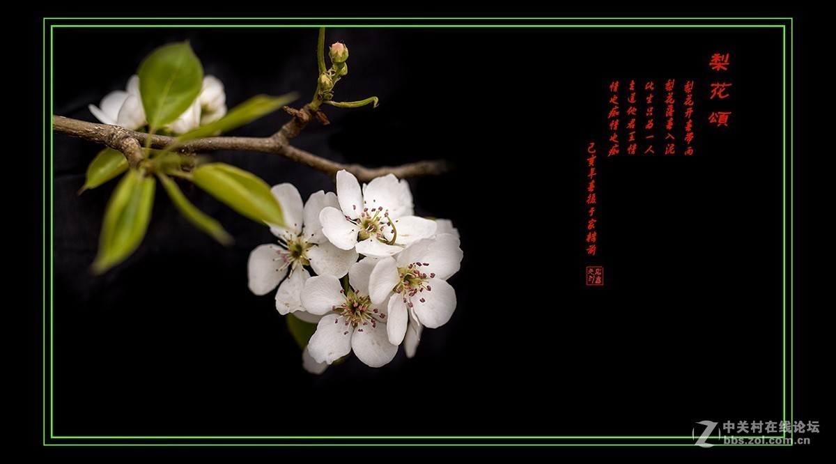 #版主坐堂#小五星空(中国)2019年五月精品荟萃