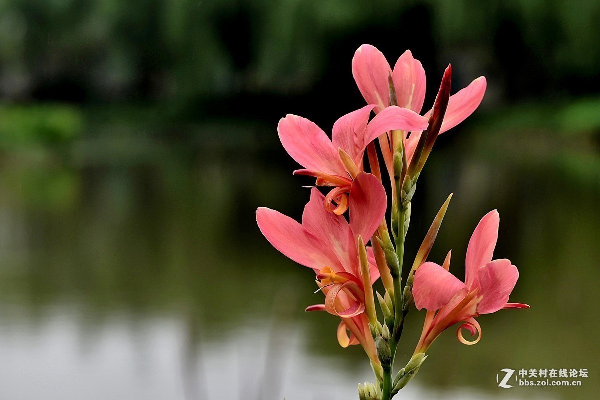 #版主坐堂#小五星空(中国)2019年五月精品荟萃